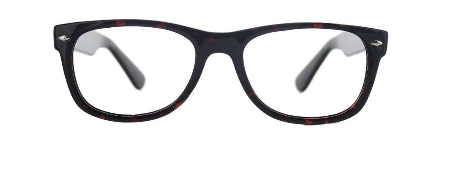 Lunettes Varionet Pantos c28 Marron